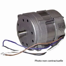 Moteur Riello Mectron
