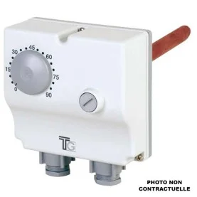 Aquastat double 0-60°C et 100°C